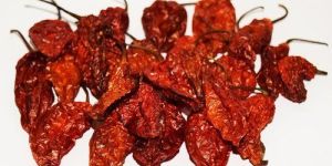 Dry King Chilli