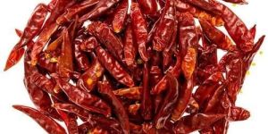 Dry Red Chilli
