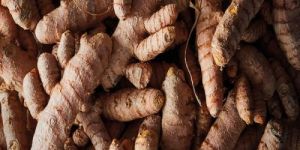 Turmeric