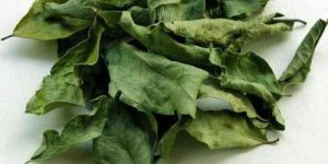 Dried Curry Leaves