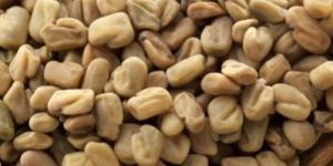 Fenugreek Seeds
