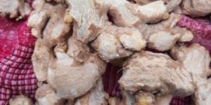 Dry Ginger