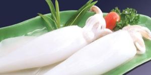 Frozen Squid