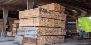 Timber