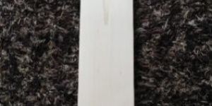 Kashmir Willow Bat