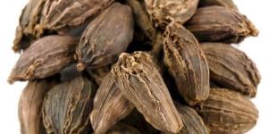 Black Cardamom