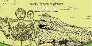 Browntop Millet Seeds