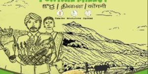 Foxtail Millet Seeds