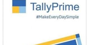 Tallyprime Silver Business Accounting Software