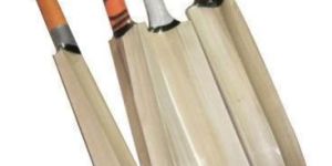 English Willow Cricket Bat