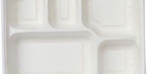 Disposable Tray Plate