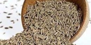 Cumin Seed
