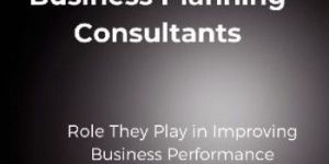 Business Consultant Services