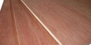 Commercial Plywood