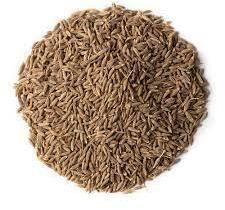 Cumin Seed