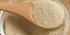 Yeast