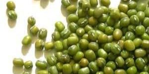 Top Star Moong Seeds