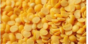 Vasad White Tur Seeds