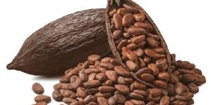 Cocoa Beans