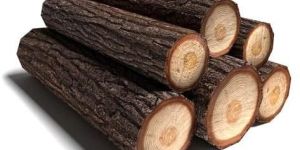 Wood Logs