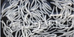 1121 Steam Basmati Branded Rice