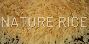 Pesticides Free 1509 Golden Sella Basmati Rice