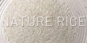 Organic White Basmati Rice