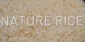 Pusa Raw White Basmati Rice