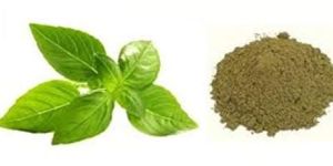 Holy Basil Powder