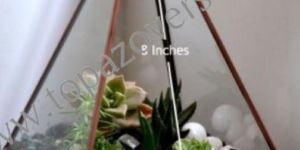 Glass Flower Pot