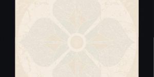 Glazed Vitrified Tile