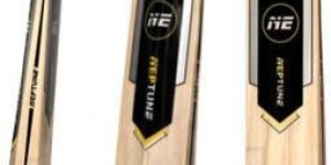 Amigo Kashmiri Willow Cricket Bat