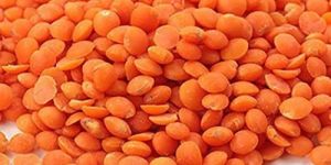 Split Masoor Dal