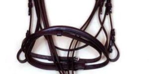 Horse Bridle