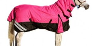 Horse Rugs