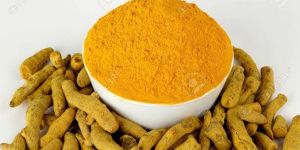 Polished Turmeric Finger