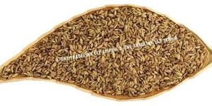 Rajasthani Roasted Saunf