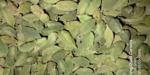 Green Cardamom