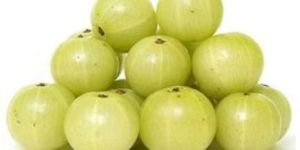 Fresh Gooseberry