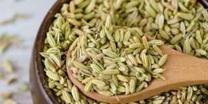 Fennel Seeds
