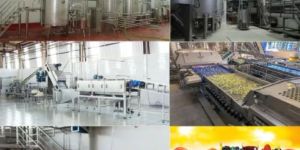 Fruit Juice Making Plant