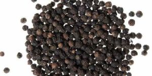 Black Pepper Seeds