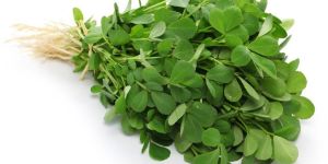 Fresh Fenugreek
