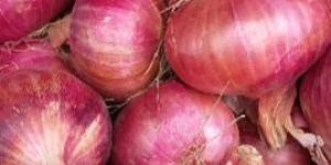 Onions