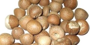 Betel Nuts