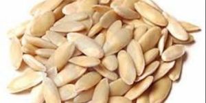Cantaloupe Seeds