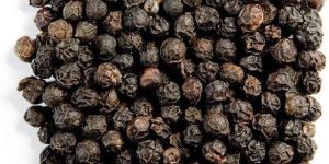 Black Pepper Seeds