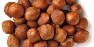 Dry Hazelnuts