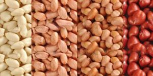 Peanut Kernels