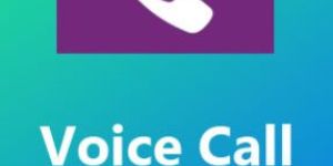 Bulk Voice Calls Services